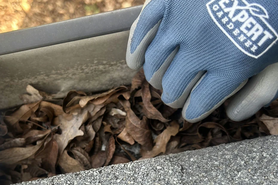 Gutter Cleaning Roanoke TX