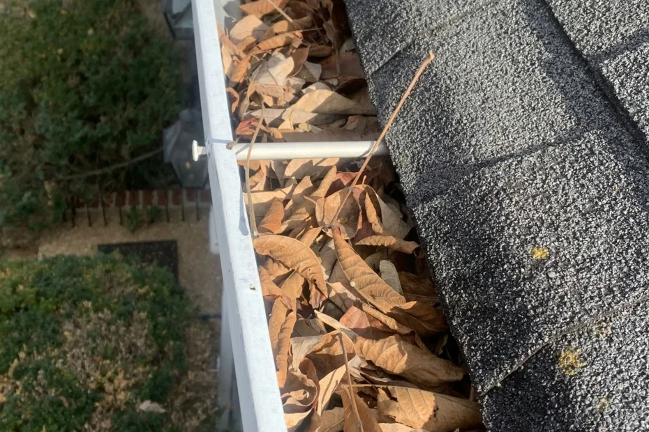 Gutter Cleaning Roanoke TX